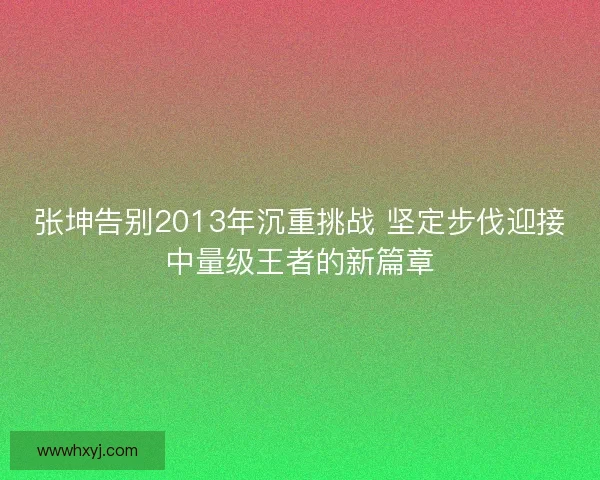 张坤告别2013年沉重挑战 坚定步伐迎接中量级王者的新篇章